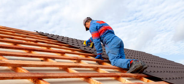 Best Roof Insulation Installation  in Dixmoor, IL